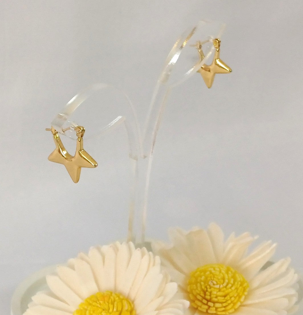 Golden Star Hoop